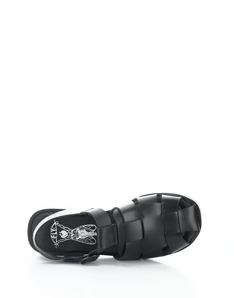 Ared437Fly 000 Black Bridle