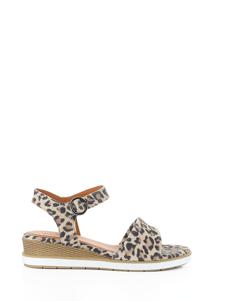 Avon Tan/Leopard Suede Print