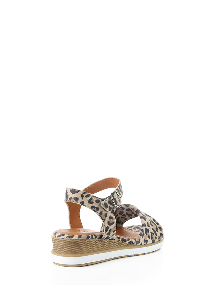 Avon Tan/Leopard Suede Print