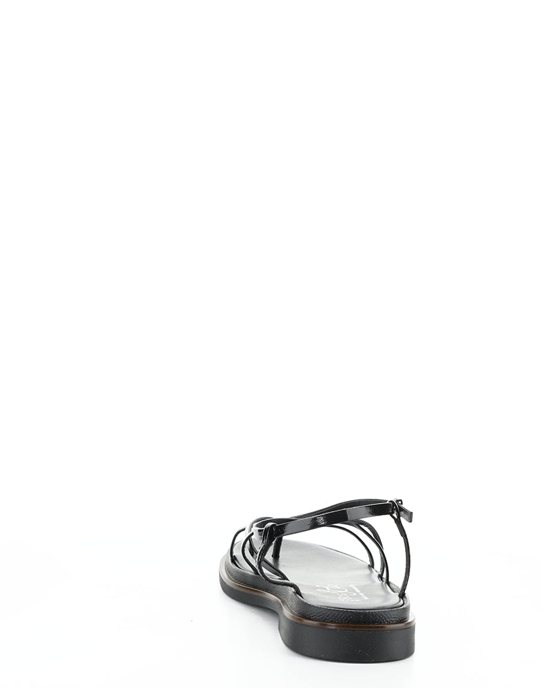 Cassia Black Vernice