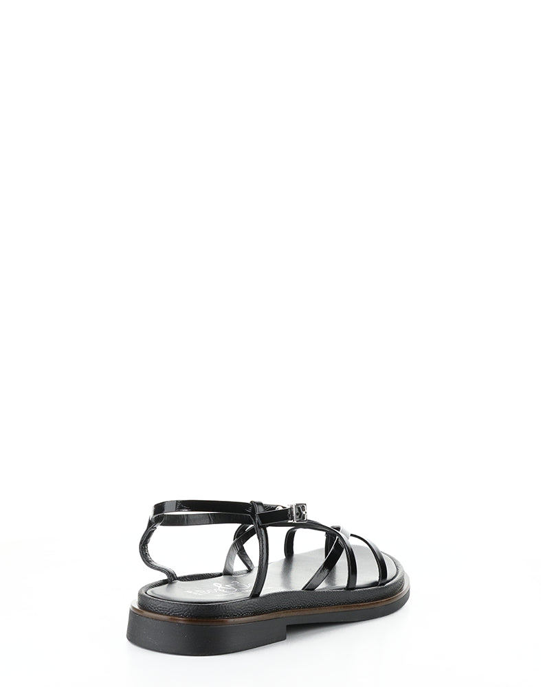 Cassia Black Vernice
