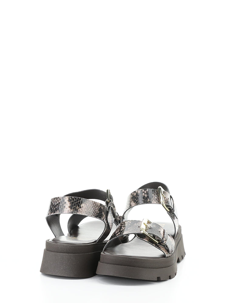 Cinder Taupe Python Print