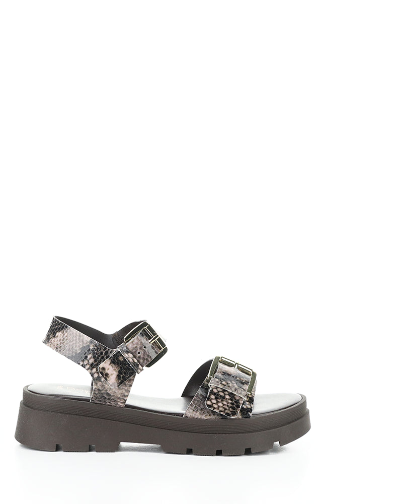 Cinder Taupe Python Print