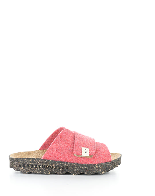 Clavi305Asp 005 Ruby Red Rewooly