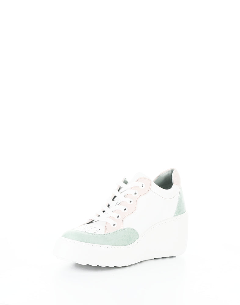 Derk742Fly 003 Mint Multi Lavato/Velvet