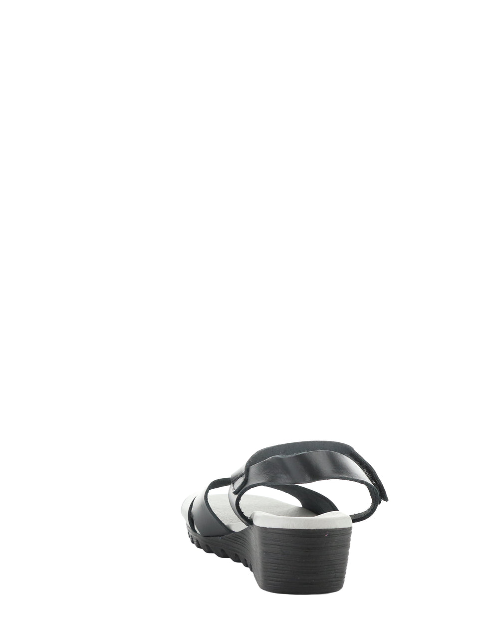 Olla446Fly 004 Black Bridle