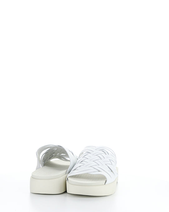 Rised White Leader