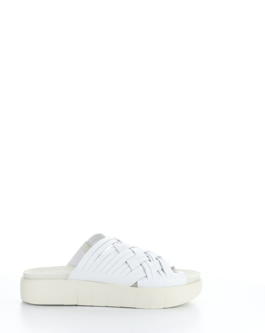 Rised White Leader