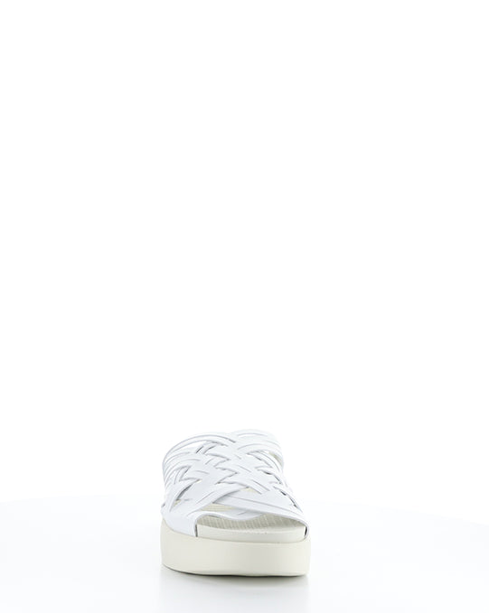 Rised White Leader