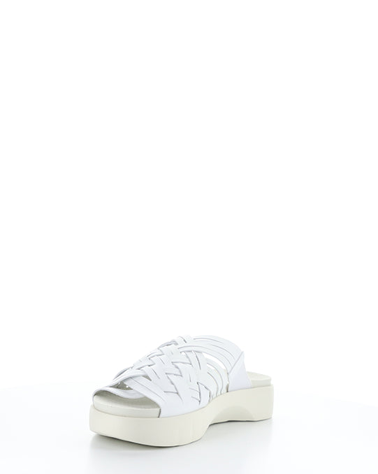 Rised White Leader