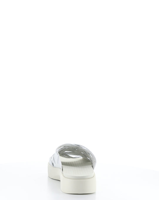 Rised White Leader