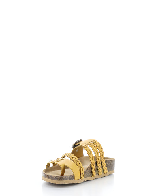 Sabina Yellow Gaucho Oil