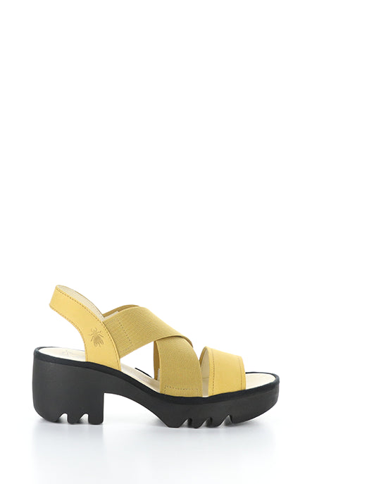 TAJI502FLY 001 BUMBLEBEE CUPIDO