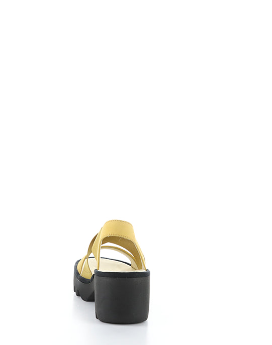 TAJI502FLY 001 BUMBLEBEE CUPIDO