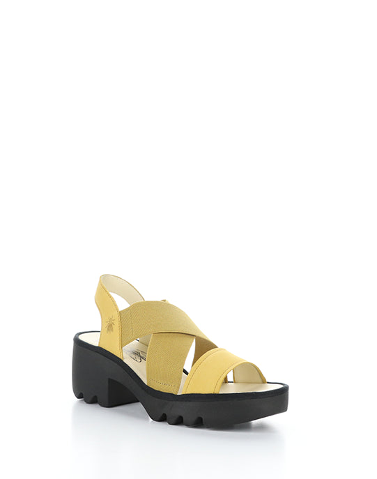 TAJI502FLY 001 BUMBLEBEE CUPIDO