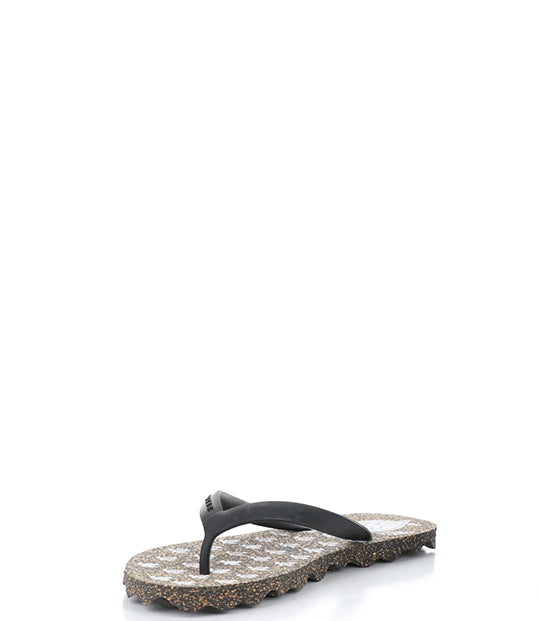 Turtle112Asp 001 Black Rubber