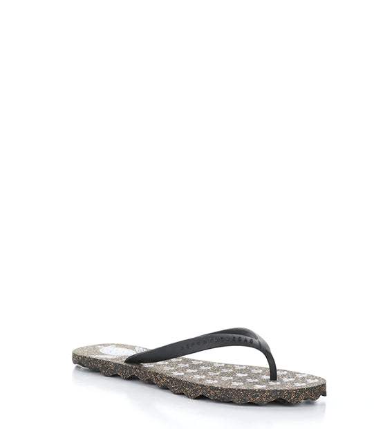 Turtle112Asp 001 Black Rubber