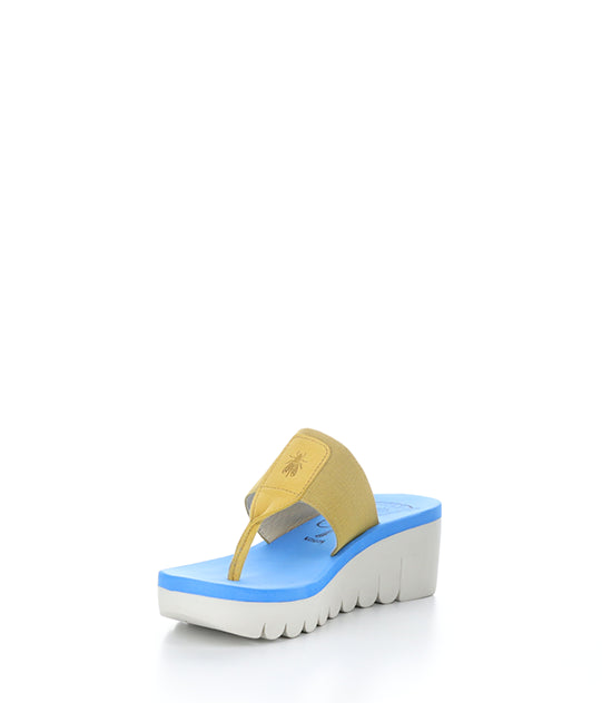 Yomu725Fly 005 Bumblebee/Azure Grograin/Cupido