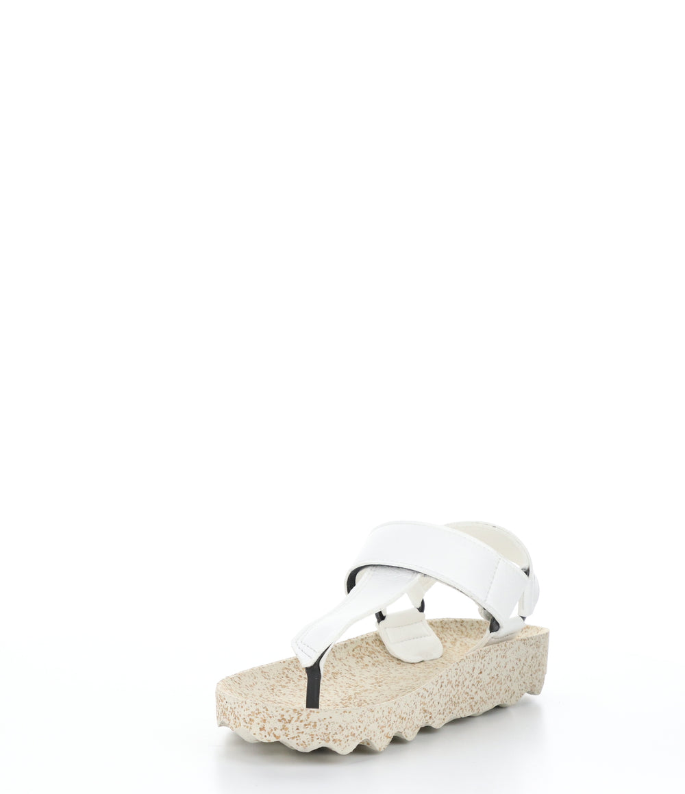 FIZZ077ASP WHITE/NATURAL Round Toe Shoes|FIZZ077ASP Chaussures à Bout Rond in Blanc